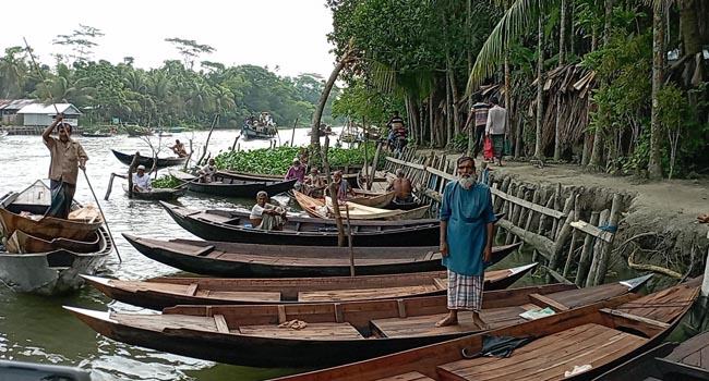 নাজিরপুরের নৌকার হাট ক্রেতাশূন্য