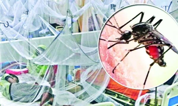 ডেঙ্গু প্রতিরোধে সচেতনতা ও আমাদের করণীয়