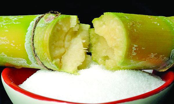 ঘাস থেকে চিনি ও গুড় হয়