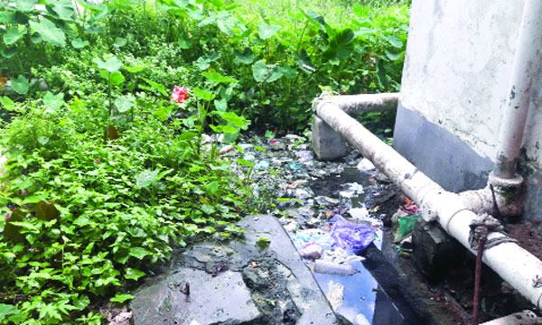 নড়াইলে হাসপাতালের পাশেই মশা উৎপাদনের ‘উর্বর ভূমি’