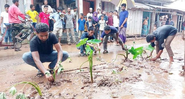 ঝালকাঠিতে সংস্কারের দাবিতে সড়কে কচুগাছ লাগিয়ে প্রতিবাদ