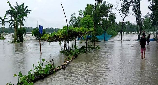 কুড়িগ্রামে বন্যা পরিস্থিতি অপরিবর্তিত
