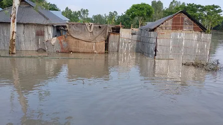নাগেশ্বরীতে বন্যায় ৩ হাজার পরিবার পানিবন্দী