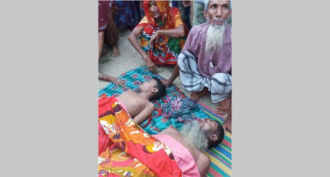 ভালুকায় পানিতে ডুবে নানা-নাতির মৃত্যু