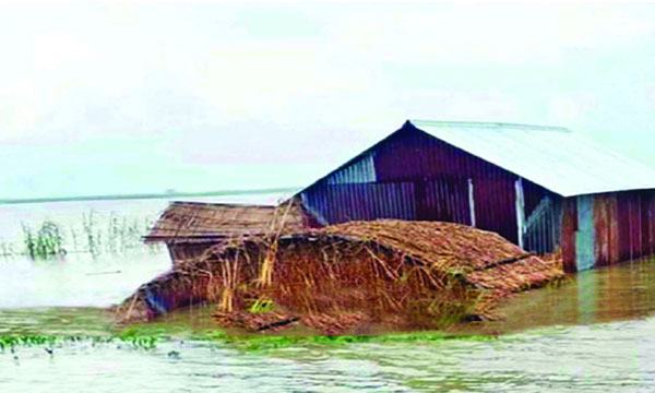 ভূঞাপুরে যমুনায় কমছে পানি বাড়ছে দুর্ভোগ