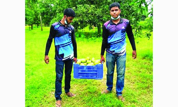 বিশ্ববিদ্যালয় পড়–য়া দুই ভাইয়ের দারিদ্র্য জয়ের গল্প