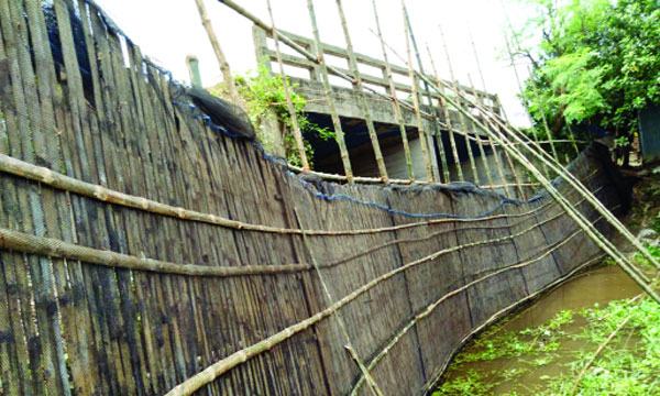 চাটমোহরে সেতুর মুখে বাঁধ দিয়ে ৮০০ বিঘা জমিতে মাছ চাষ