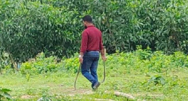 বগুড়ায় অস্ত্রসহ স্বেচ্ছাসেবক লীগ নেতার ছবি ভাইরাল, পরে গ্রেফতার