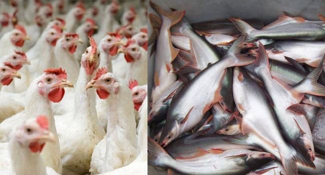 মুরগির চেয়ে পাঙ্গাশের দাম বেশি, মসলা চড়া