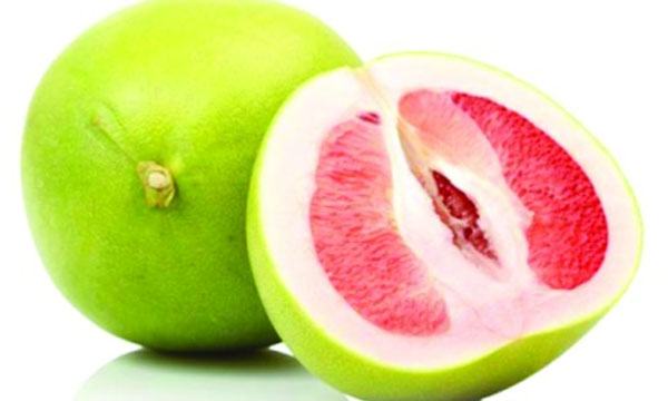 জাম্বুরার কথা