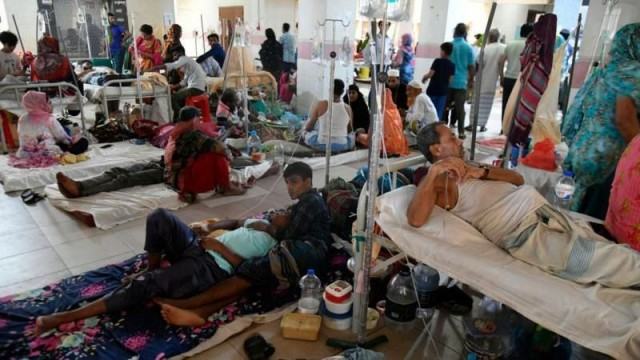বাংলাদেশে ডেঙ্গুর টিকা দেয়ার সিদ্ধান্ত কখন হবে
