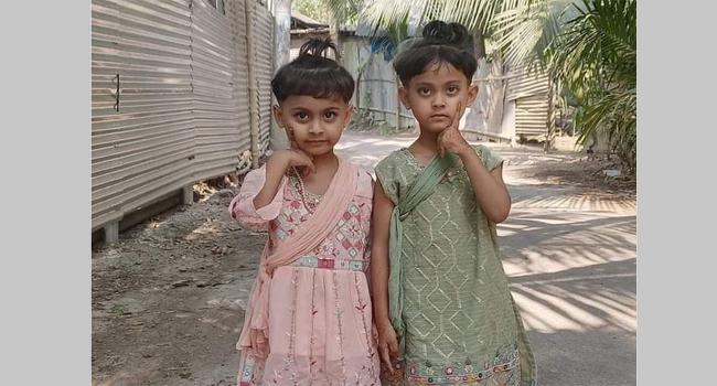 ফরিদগঞ্জে পানিতে ডুবে ২ শিশুর মৃত্যু