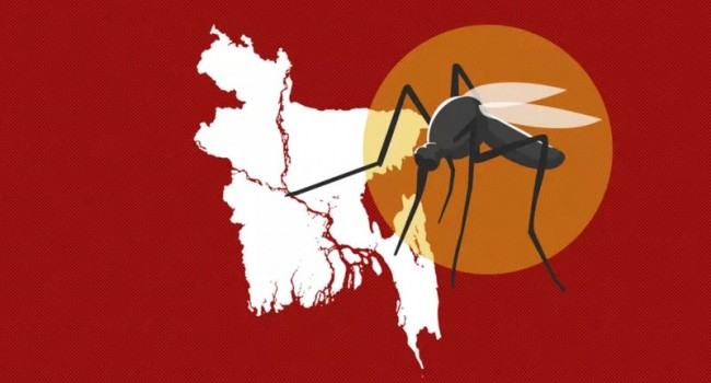 ডেঙ্গু : বাংলাদেশে রোগের পরিসংখ্যান থেকে যা জানা যাচ্ছে