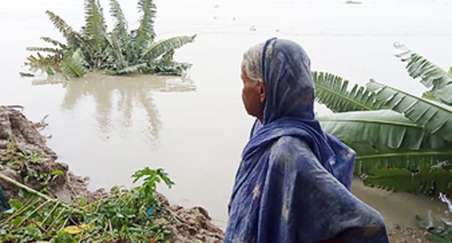 বিধবার ত্রাণের ঘর বিষখালীর ভাঙনে বিলীন