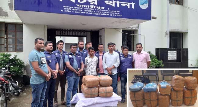 শিবচরে ৩৪ কেজি গাঁজাসহ যুবক আটক
