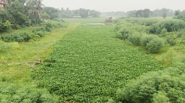 চৌগাছায় কপোতাক্ষ নদ খননে অনিয়মের অভিযোগ, দখল মুক্ত হয়নি নদের জমি