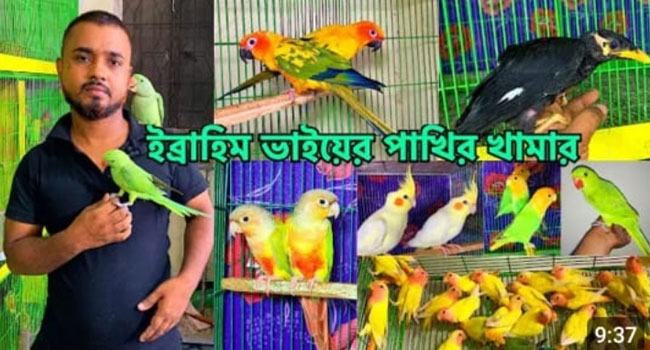 টঙ্গীতে ১৯টি পাখি জব্দ, ব্যবসায়ির কারাদণ্ড