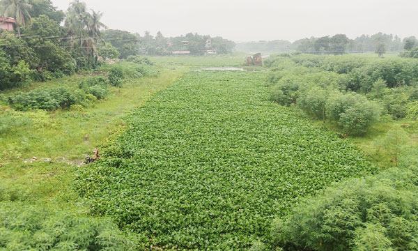 চৌগাছায় কপোতাক্ষ খননে অনিয়ম দখলমুক্ত হয়নি নদের জমি