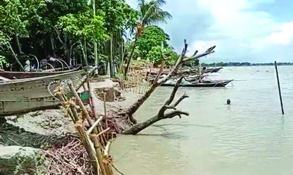 চাঁদপুরে মেঘনার ভাঙনের কবলে শতাধিক পরিবার