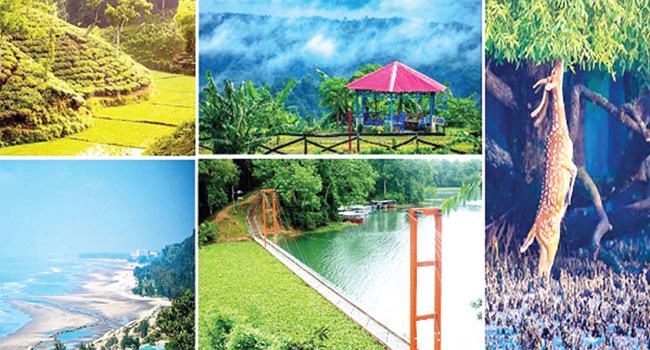 সিন্ডিকেটের খাঁচায় বন্দী পর্যটন খাত