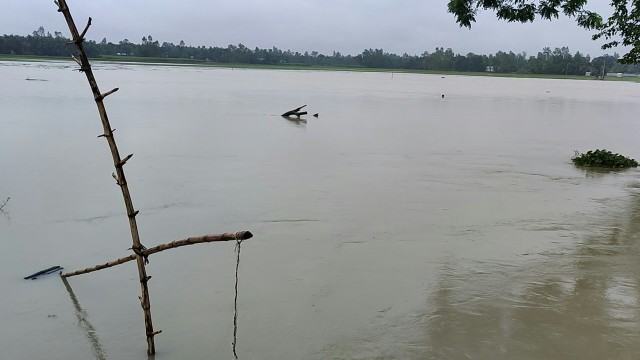 জামালপুরে যমুনার পানি বিপদসীমার অতিক্রম করার আশঙ্কা