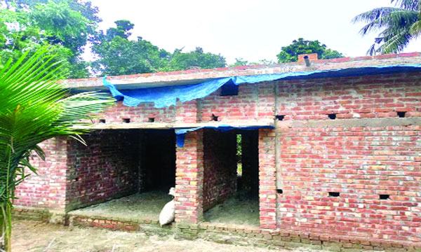 চৌগাছায় গ্রামবাসীর কোটি টাকা নিয়ে প্রতারক চক্র উধাও