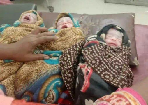 শাল্লায় একসাথে তিন সন্তানের জন্ম