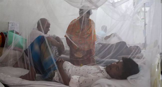 ডেঙ্গুতে আরো ১০ জনের মৃত্যু, হাসপাতালে ভর্তি ১৯৮৪