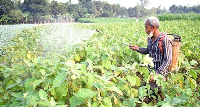 বাড়ল ক্ষতিকর কার্বোফুরান ব্যবহারের সময়সীমা
