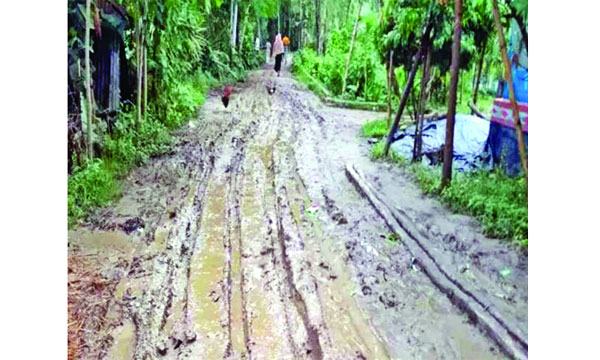 ঘাটাইলে ৩ গ্রামের দুঃখ ৪ কিলোমিটার কাঁচা রাস্তা