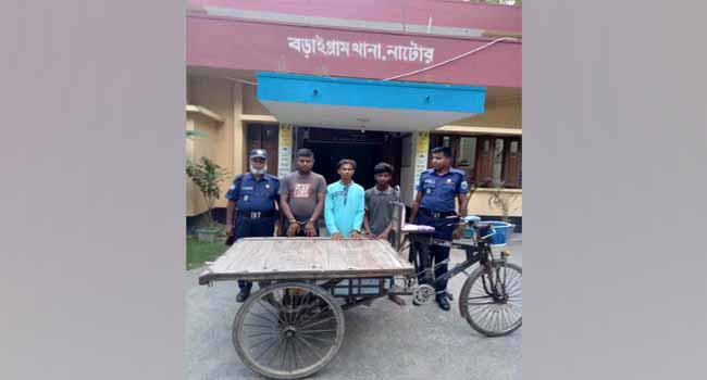 চালককে ছুরিকাঘাতে ভ্যান ছিনতাই : আটক ৩