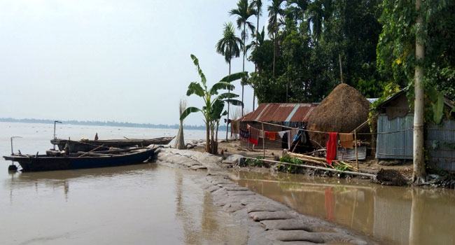 কুড়িগ্রামে তিস্তার ভাঙনে অর্ধশতাধিক ঘরবাড়ি নদীগর্ভে