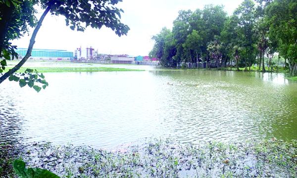 ভালুকায় অপরিকল্পিত শিল্পায়নে জলাবদ্ধতা বিস্তীর্ণ ফসলি জমি পানির নিচে