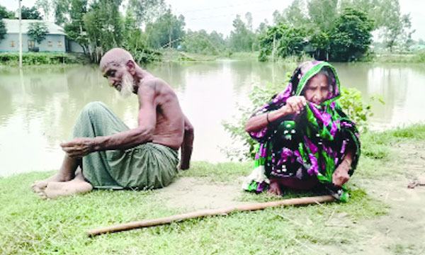 ৫ ছেলের ঘরে ঠাঁই হয়নি বয়োবৃদ্ধ বাবা-মায়ের
