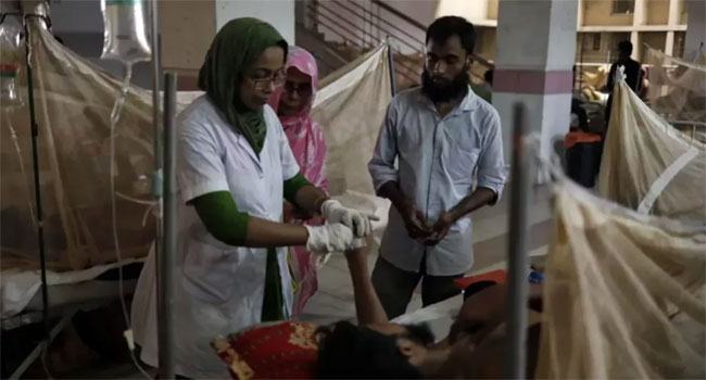 ডেঙ্গুতে ২৪ ঘণ্টায় ১৪ জনের মৃত্যু, হাসপাতালে ভর্তি ১৫৯৪