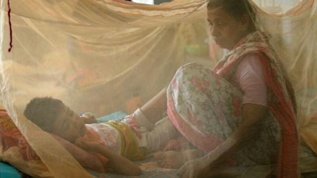 বাংলাদেশে ডেঙ্গু চিকিৎসায় এত খরচ কেন?