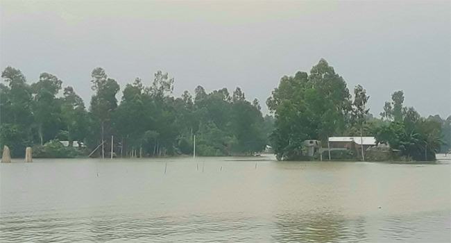 রৌমারী ও রাজিবপুরে ৩০ হাজার পরিবার পানিবন্ধী