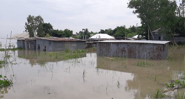 চৌহালীর বন্যা কবলিতদের দুর্ভোগ বেড়েছে