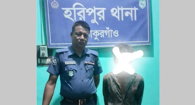হরিপুরে ইয়াবাসহ আটক ১