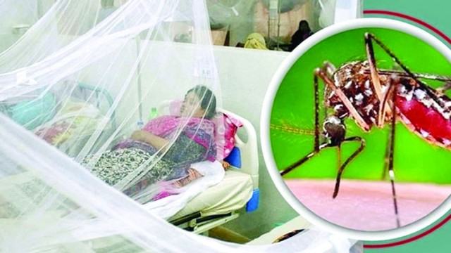 কুষ্টিয়ায় ডেঙ্গুতে ২৪ ঘণ্টার ব্যবধানে শিশু ও নারীর মৃত্যু