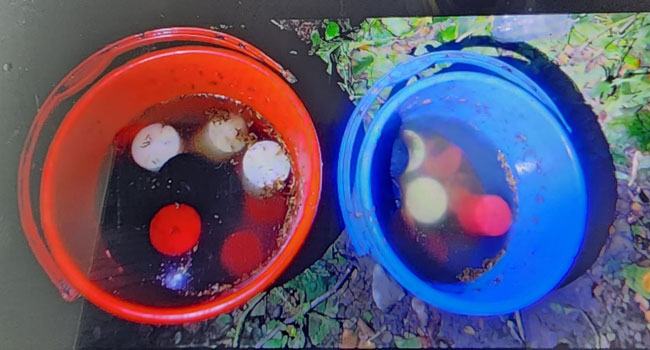 বেনাপোল বন্দর এলাকা থেকে আবারো ২৫ পিচ ককটেল বোমা উদ্ধার