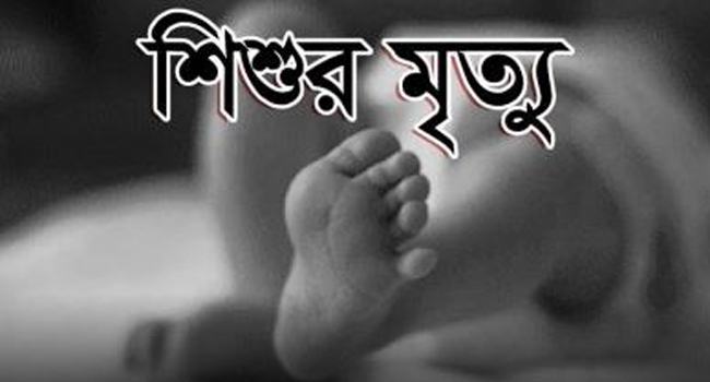 কিশোরগঞ্জে গলায় পেয়ারা আটকে শিশুর মৃত্যু
