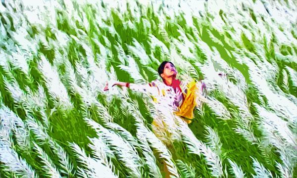 শরতের সেই মেয়েটি