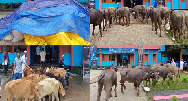 জৈন্তাপুরে ২ মাসে ৮০ থেকে ৯০ লাখ টাকা মূল্যের ভারতীয় পণ্য জব্ধ