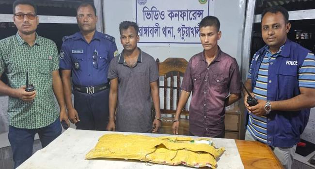 রাঙ্গাবালীতে গাজাঁসহ ২ মাদককারবারি গ্রেফতার