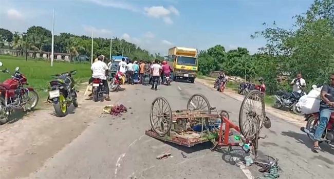 মেহেরপুরে সড়ক দুর্ঘটনায় ভ্যানচালক নিহত