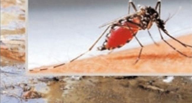 ডেঙ্গু মহামারী