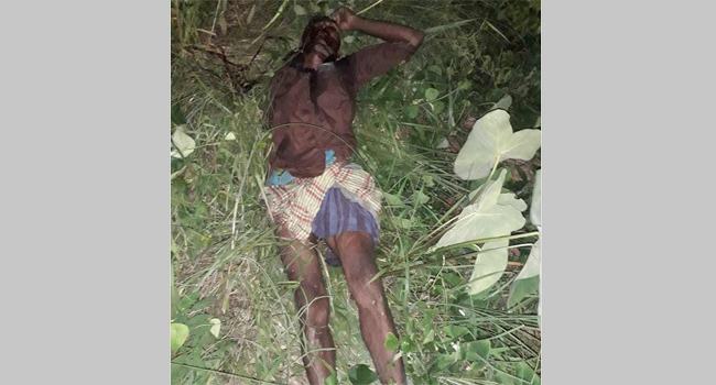 ভারতে গিয়ে এক গরু ব্যবসায়ী নিখোঁজ, পরিবারের দাবি বিএসএফের হাতে নিহত