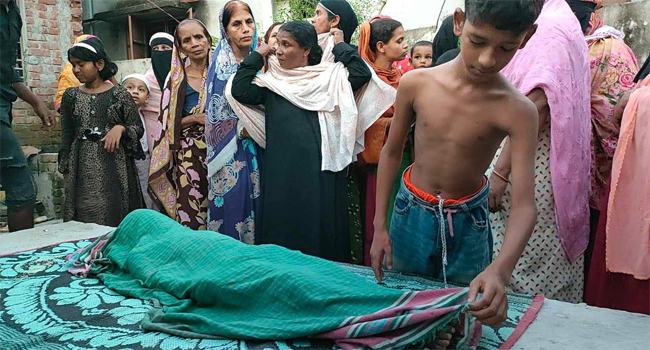 গফরগাঁওয়ে ফল পাড়তে গিয়ে বিদ্যুৎস্পৃষ্টে শিশুর মৃত্যু