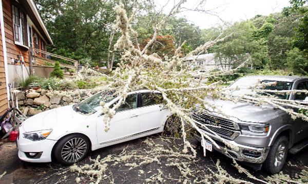 কানাডায় সামুদ্রিক ঝড় লি’র আঘাতে বিদ্যুৎহীন লাখো মানুষ